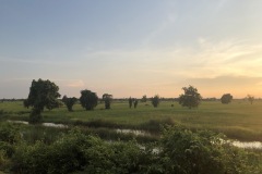 la campagne de Battambang