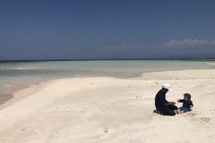 wild beach