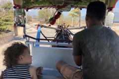 horse car