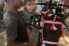 horse