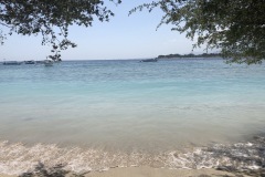 turtle beach