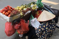 fruits