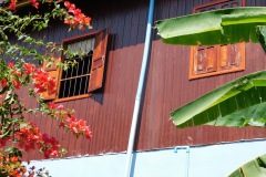 the red house