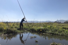 farmer