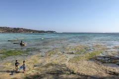 Green point