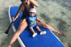 vive le paddle