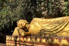 sleeping buddha