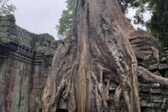 Ta Prohm