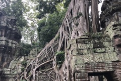 Ta Prohm