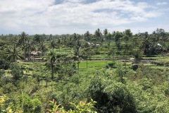 Tetebatu